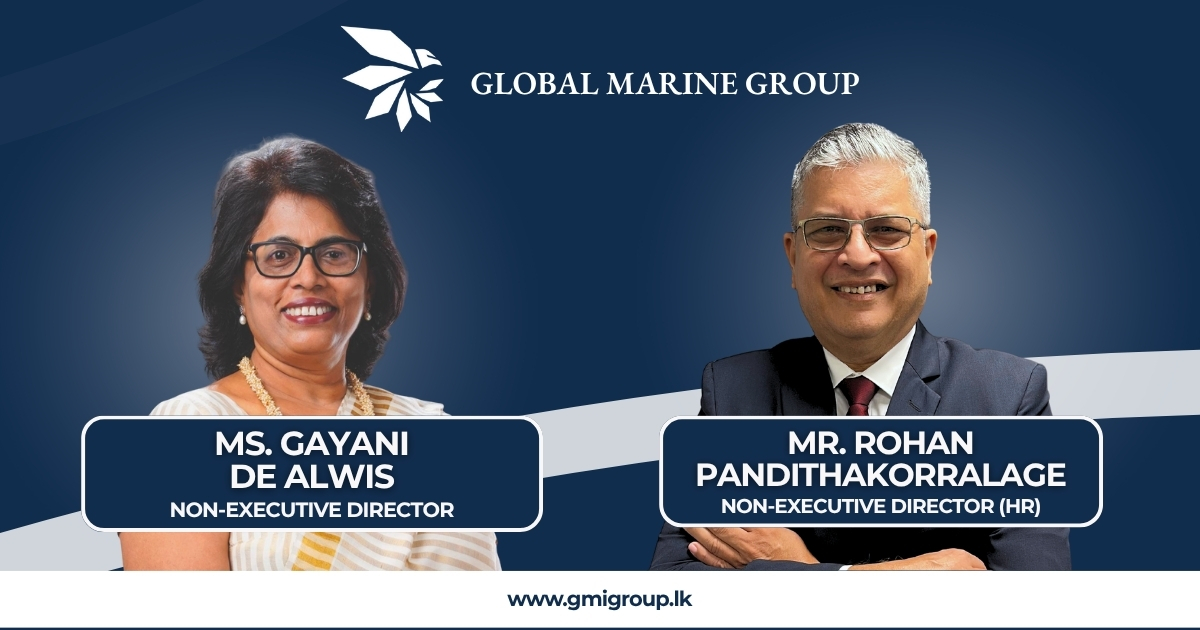Appointment of Our Non-Executive Directors